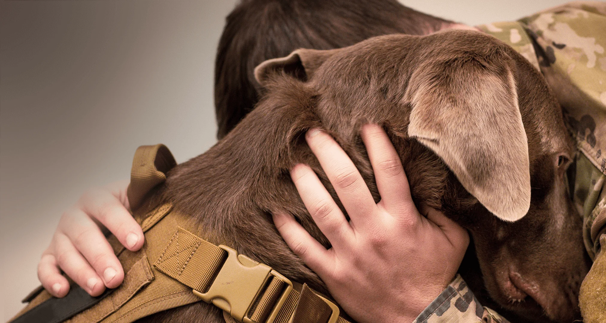 Empower Your Service Animal Journey