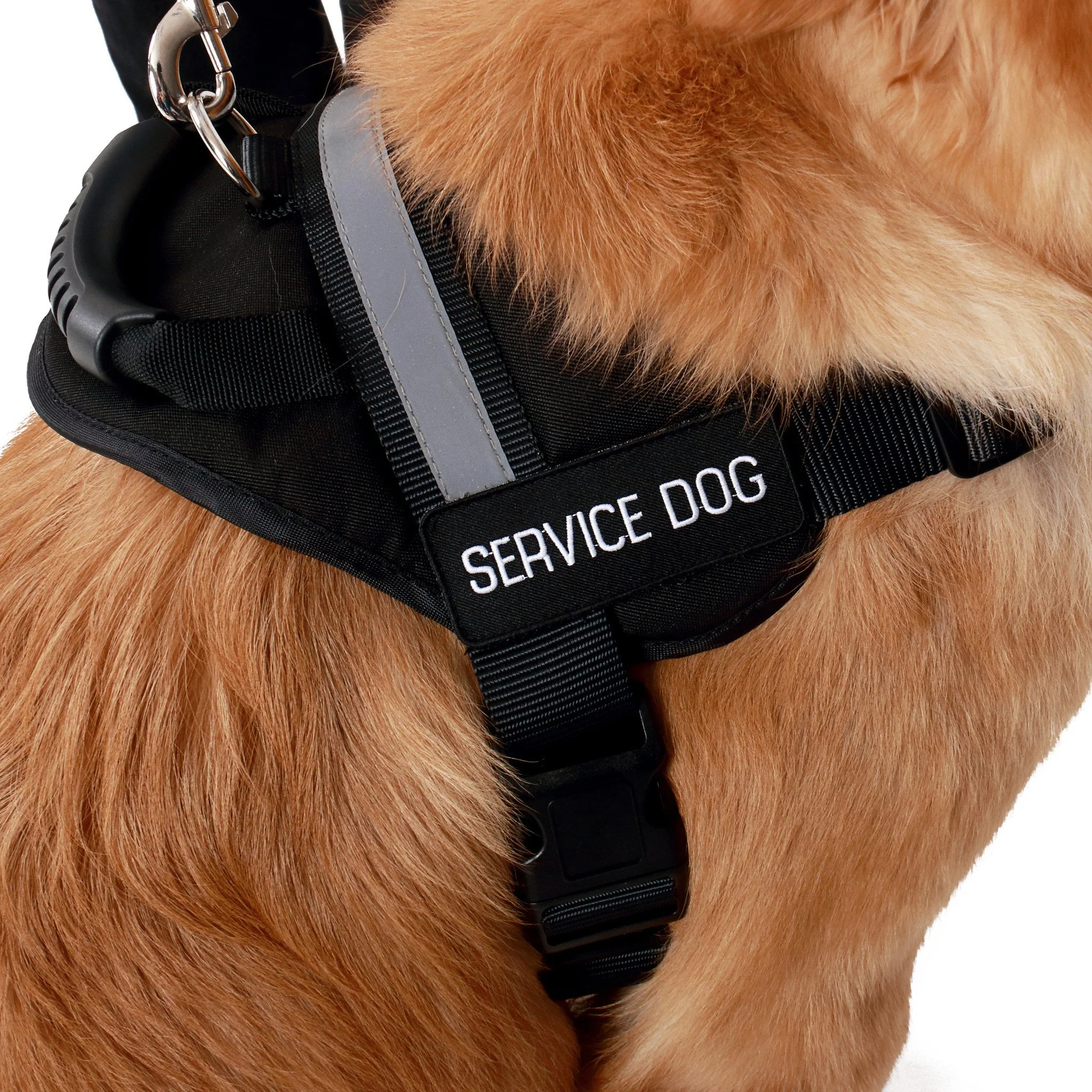 Bundle & Save Emotional Support Animal Vest With Handle - Image 10