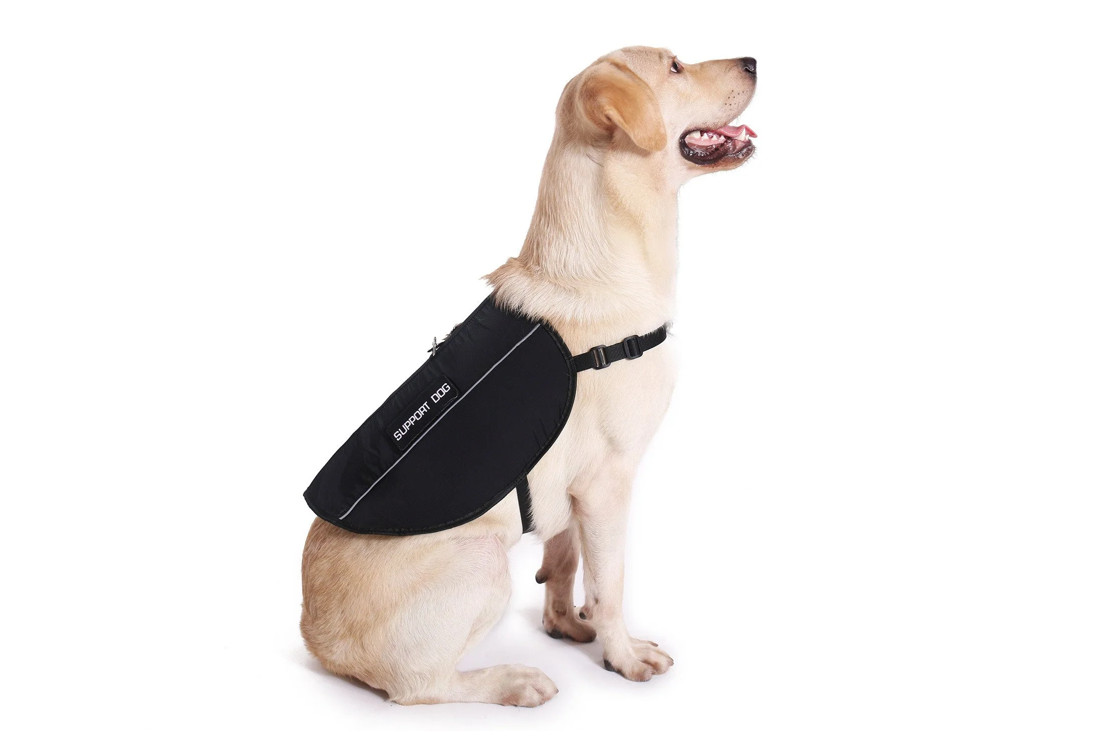 Emotional Support Animal Basic Registration Package - Image 6