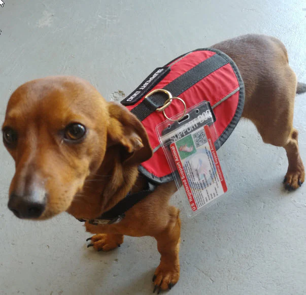 Emotional Support Animal Basic Registration Package - Image 8