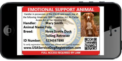 Emotional Support Animal Lightweight Mesh Deluxe Registration Package - Image 4