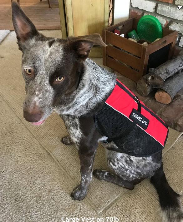 Emotional Support Animal Lightweight Mesh Vest - Image 7