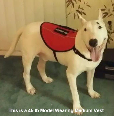 Emotional Support Animal Vest - Image 5