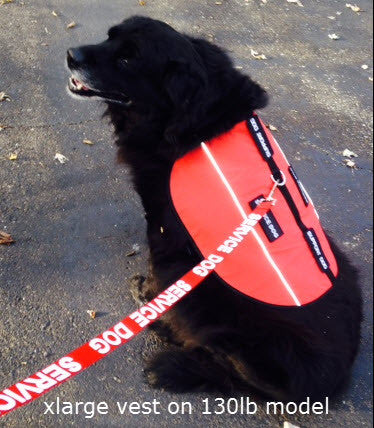 Emotional Support Animal Vest - Image 8