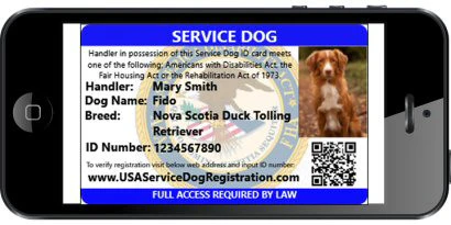 Service Dog Vest w/ Handle Deluxe Registration Package - Image 4