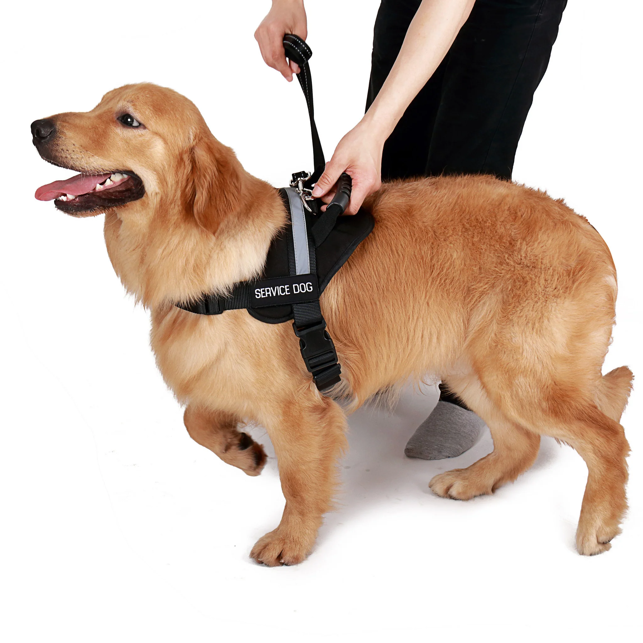 Service Dog Vest w/ Handle Deluxe Registration Package - Image 7