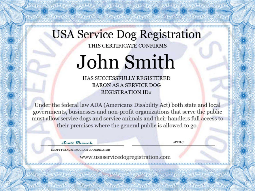 Service Dog Light Mesh Vest Basic Registration Package - Image 6