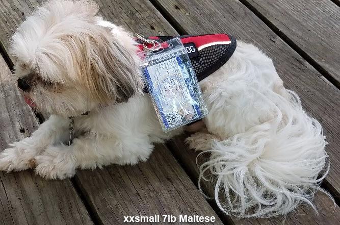 Service Dog Light Mesh Vest Basic Registration Package - Image 9