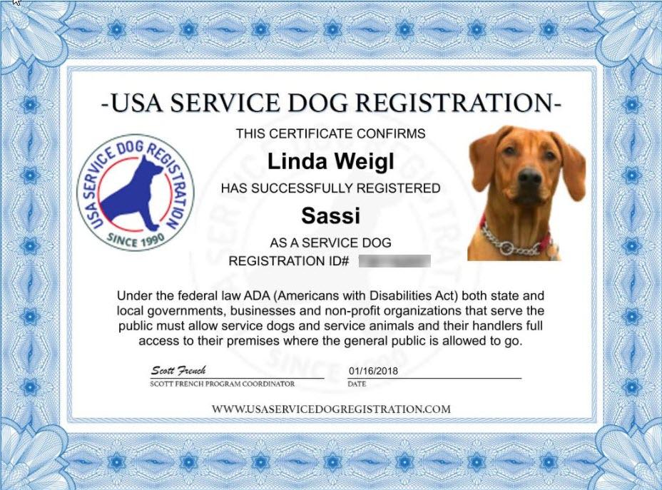 Service Dog Light Weight Mesh Vest Deluxe Registration Package - Image 3
