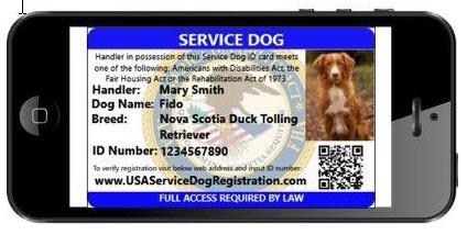 Service Dog Light Weight Mesh Vest Deluxe Registration Package - Image 5