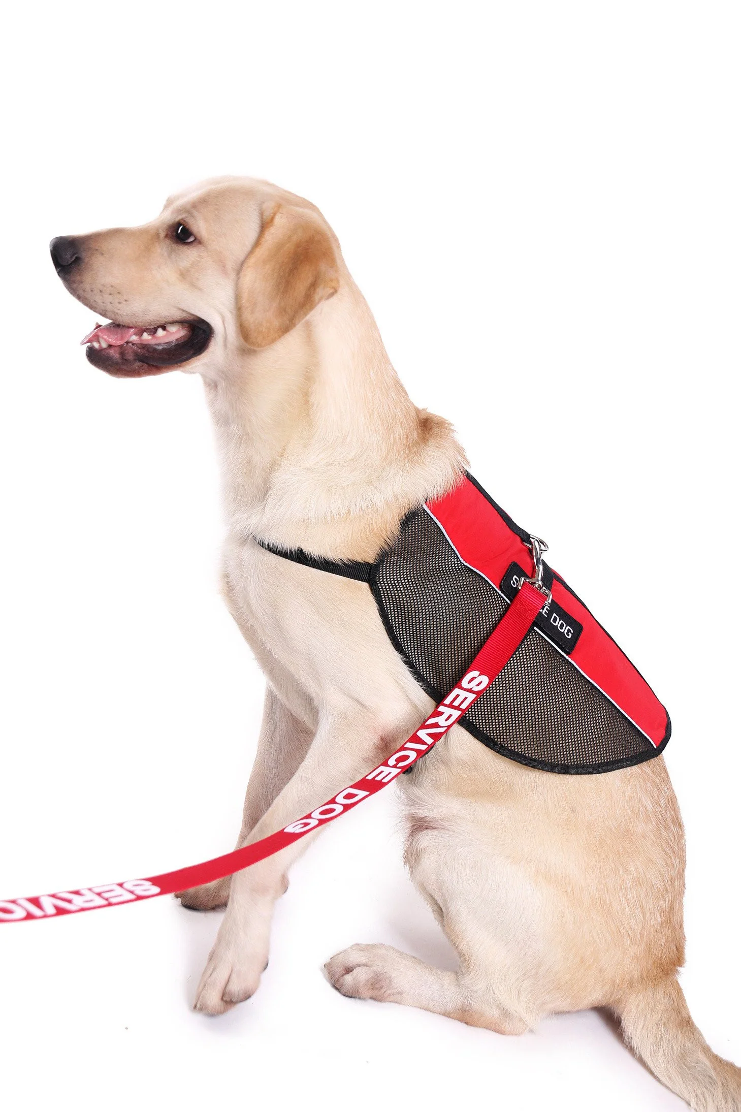 Service Dog Vest Lightweight Mesh - Image 2
