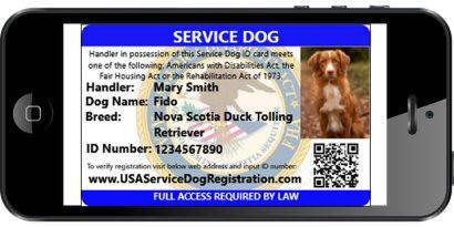 Service Dog Vest w/ Handle Basic Registration Package - Image 5