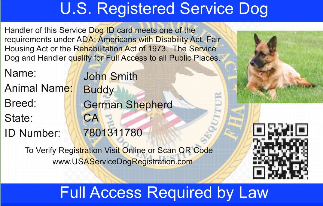Service Dog Vest w/ Handle Basic Registration Package - Image 6