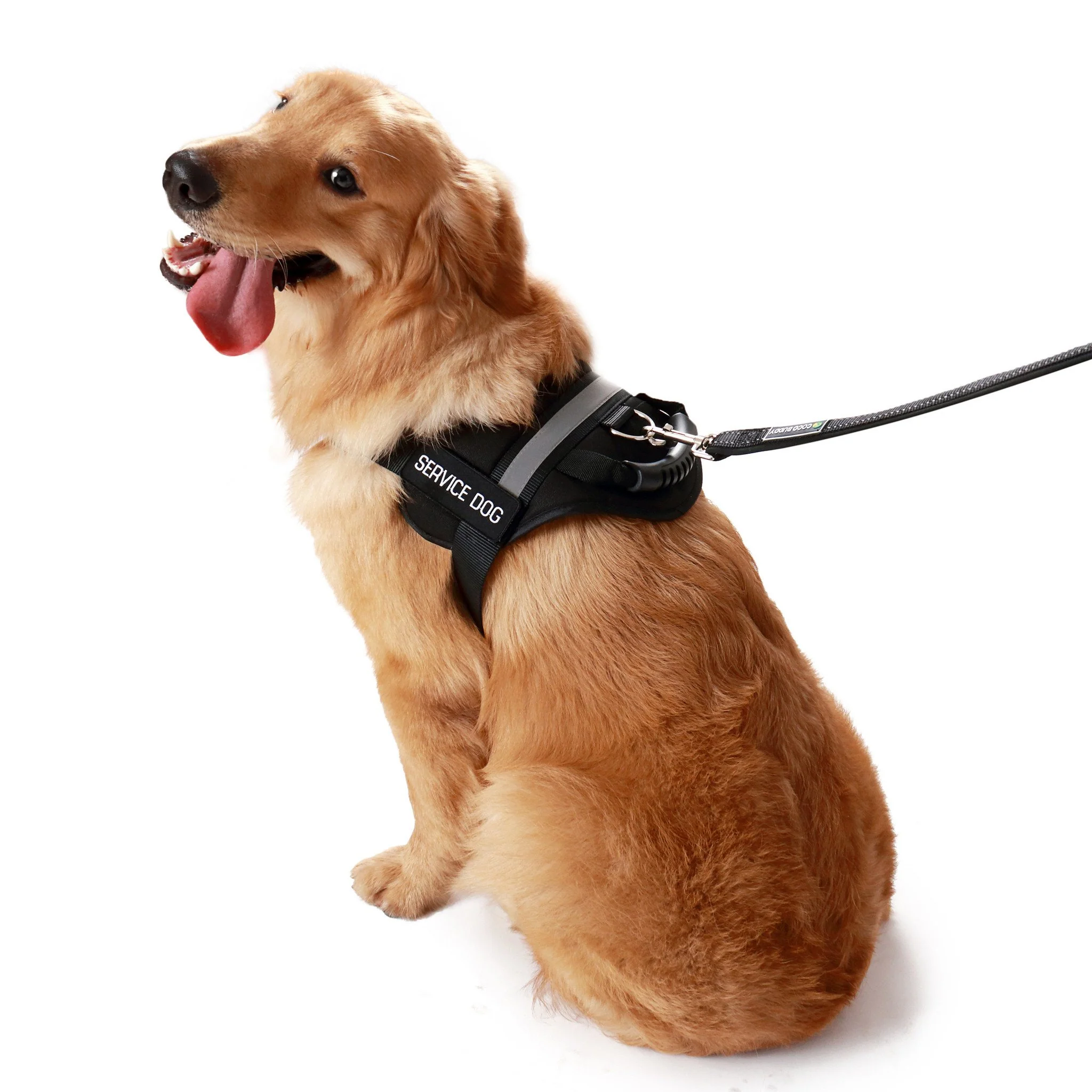 Service Dog Vest w/ Handle Basic Registration Package - Image 8
